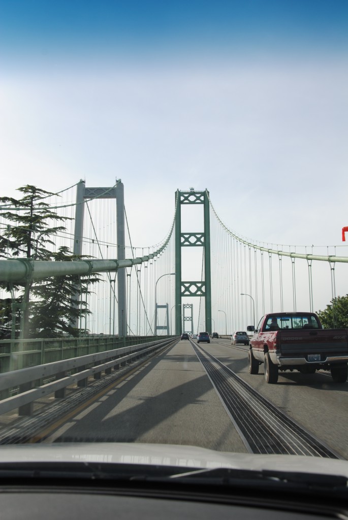 Tacoma Narrows broerne