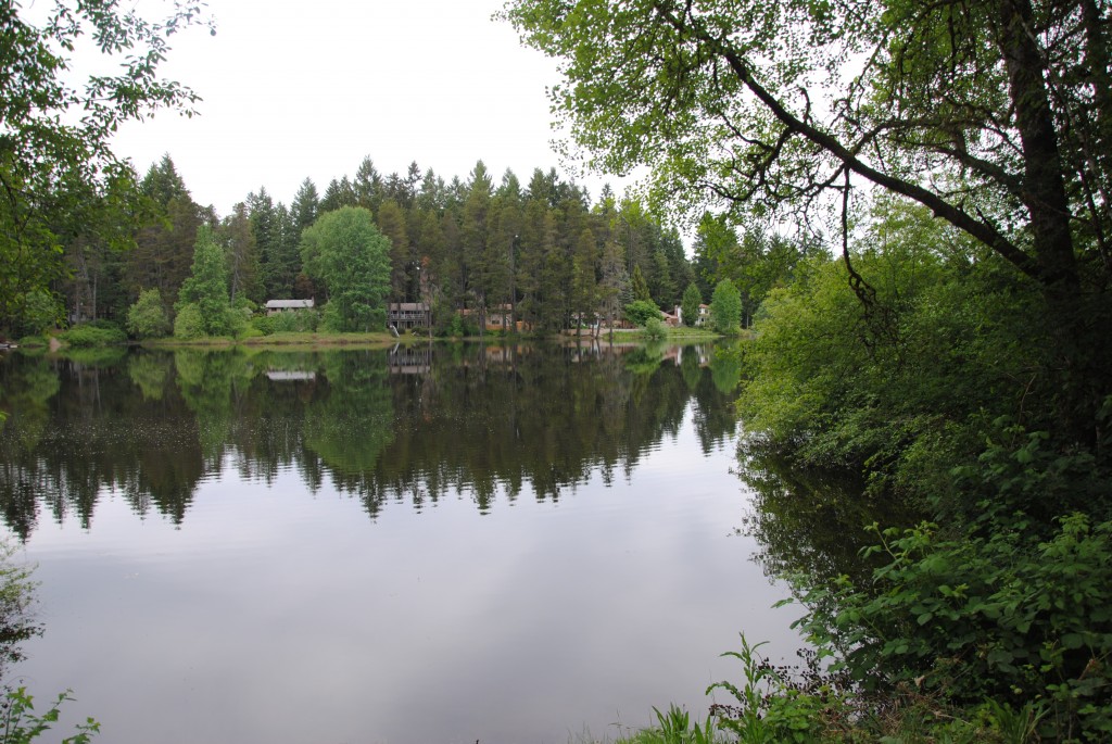 Udsigten fra haven. Vi sad og læste lidt herude, det var rigtig dejligt.