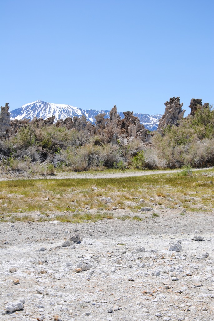 Strandbredden ved Mono Lake med små vindblæste buske og udsigt til sneklædte bjerge