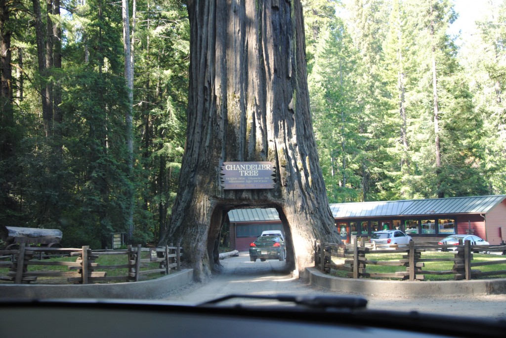 Chandelier tree